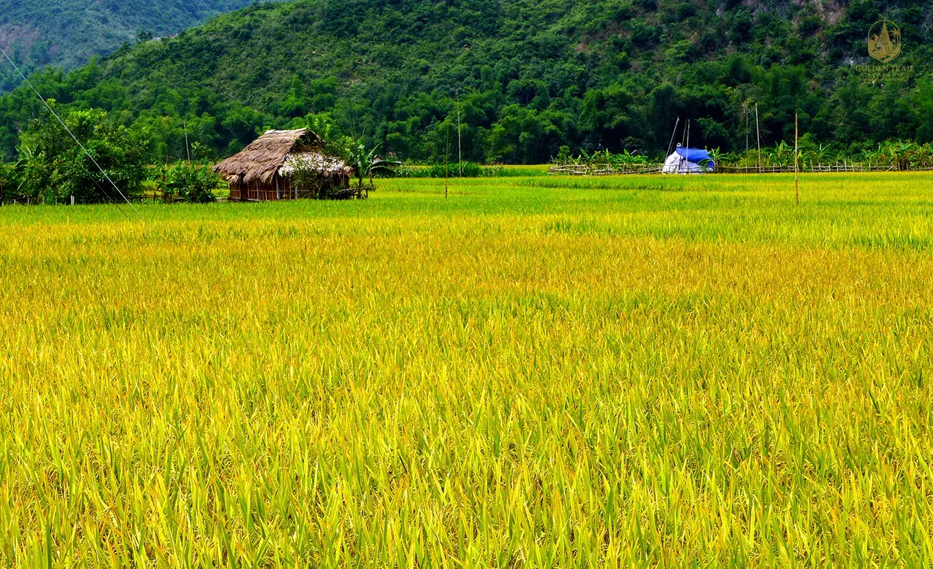 12-Day Vietnam Landscapes: Mai Chau, Lan Ha Bay, & Imperial Hue